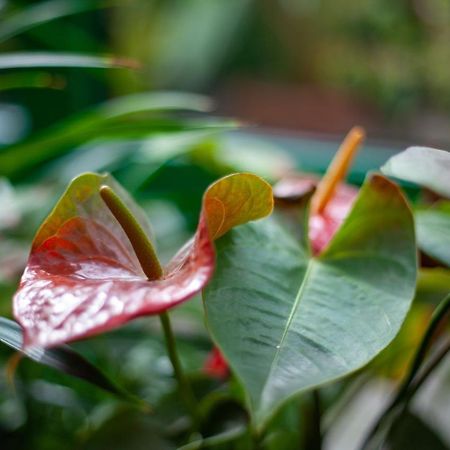 Hotel Landsberg Landsberg  エクステリア 写真